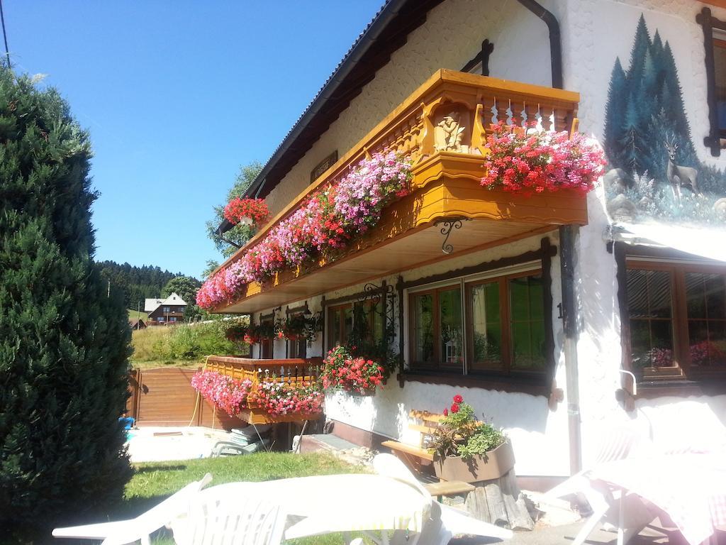 Pension Altvogtshof Eisenbach  Εξωτερικό φωτογραφία